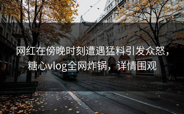 网红在傍晚时刻遭遇猛料引发众怒，糖心vlog全网炸锅，详情围观