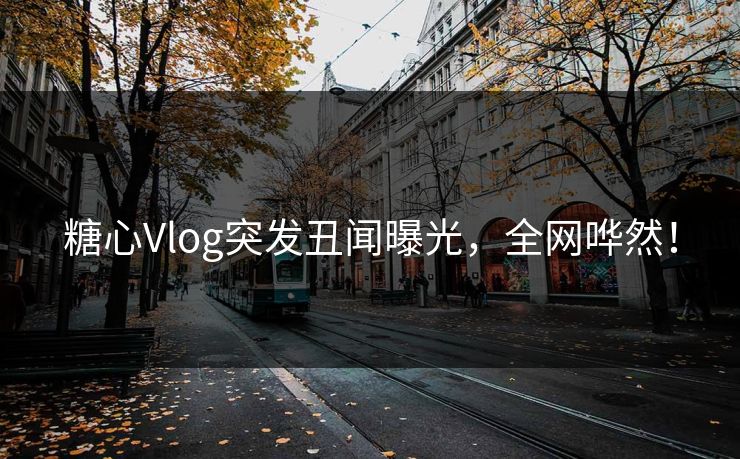 糖心Vlog突发丑闻曝光,全网哗然! 糖心Vlog突发丑闻曝光,全网哗然!