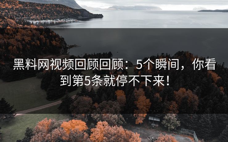黑料网视频回顾回顾：5个瞬间，你看到第5条就停不下来！