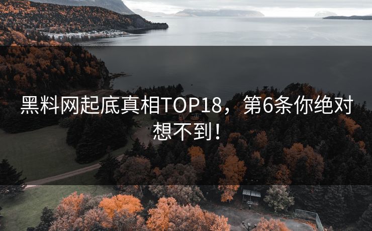 黑料网起底真相TOP18，第6条你绝对想不到！
