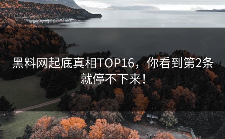 黑料网起底真相TOP16，你看到第2条就停不下来！
