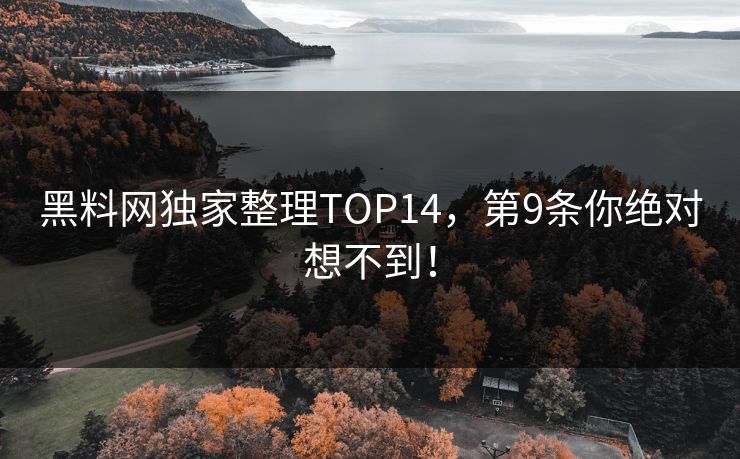 黑料网独家整理TOP14,第9条你绝对想不到!