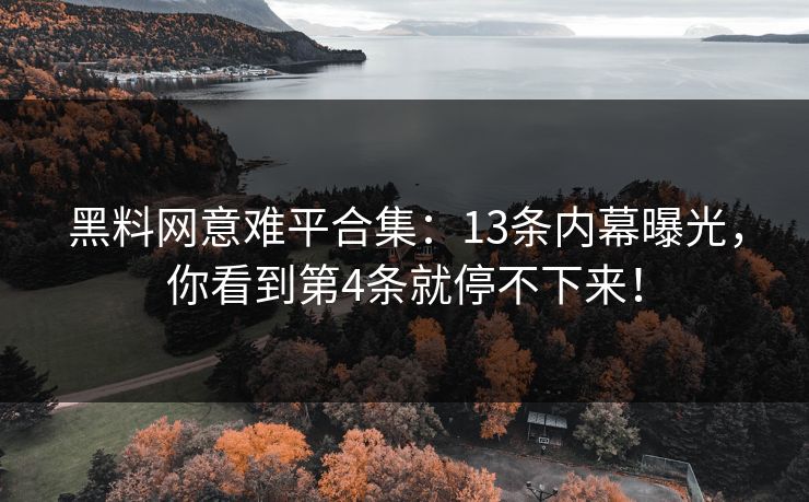 黑料网意难平合集：13条内幕曝光，你看到第4条就停不下来！
