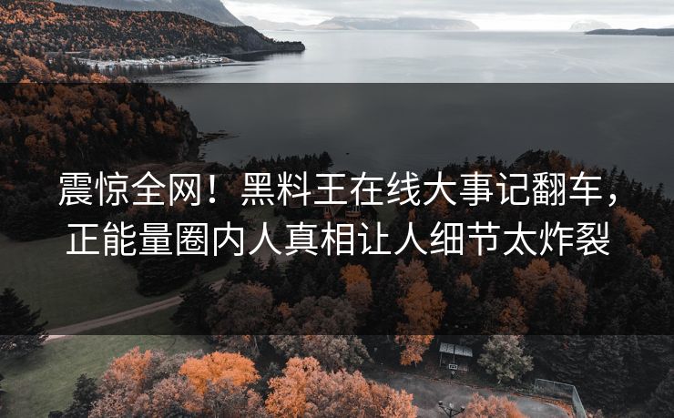 震惊全网！黑料王在线大事记翻车，正能量圈内人真相让人细节太炸裂