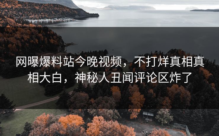网曝爆料站今晚视频，不打烊真相真相大白，神秘人丑闻评论区炸了