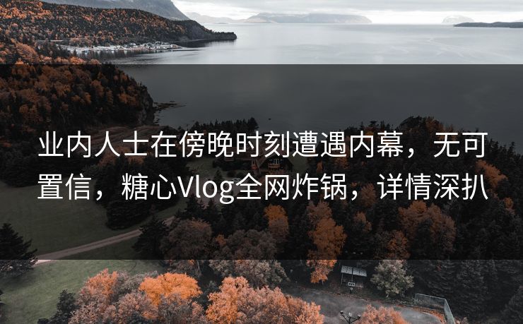 业内人士在傍晚时刻遭遇内幕，无可置信，糖心Vlog全网炸锅，详情深扒
