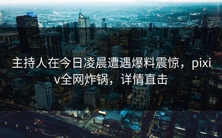 主持人在今日凌晨遭遇爆料震惊，pixiv全网炸锅，详情直击