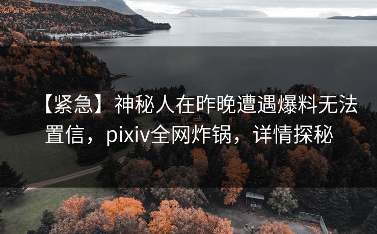 【紧急】神秘人在昨晚遭遇爆料无法置信，pixiv全网炸锅，详情探秘