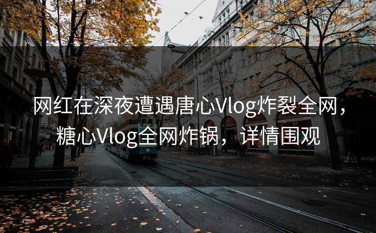 网红在深夜遭遇唐心Vlog炸裂全网，糖心Vlog全网炸锅，详情围观