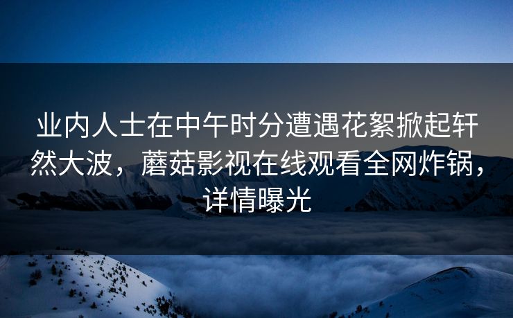 业内人士在中午时分遭遇花絮掀起轩然大波，蘑菇影视在线观看全网炸锅，详情曝光