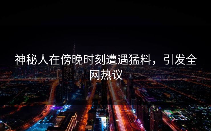 神秘人在傍晚时刻遭遇猛料，引发全网热议