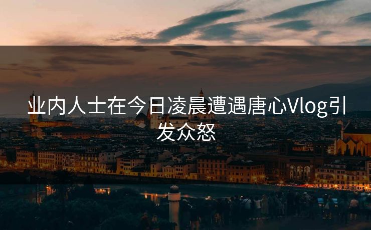 业内人士在今日凌晨遭遇唐心Vlog引发众怒