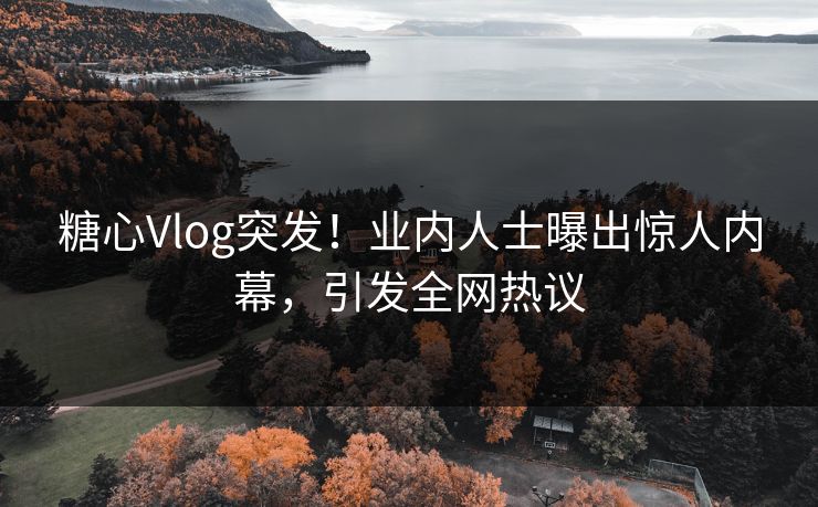 糖心Vlog突发！业内人士曝出惊人内幕，引发全网热议