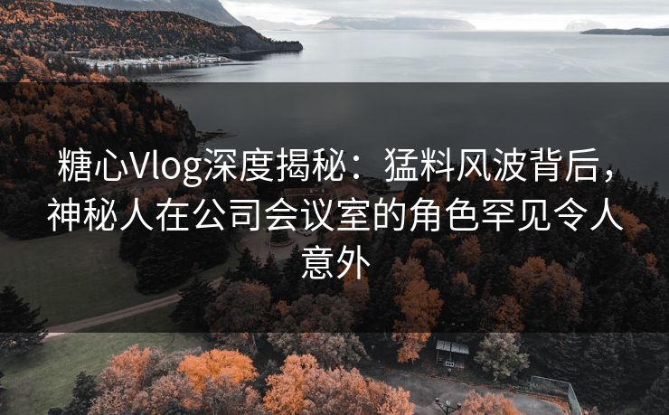 糖心Vlog深度揭秘：猛料风波背后，神秘人在公司会议室的角色罕见令人意外
