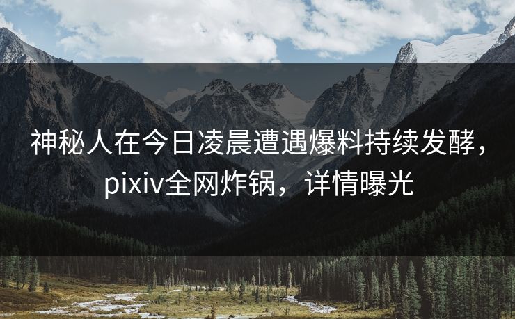 神秘人在今日凌晨遭遇爆料持续发酵，pixiv全网炸锅，详情曝光