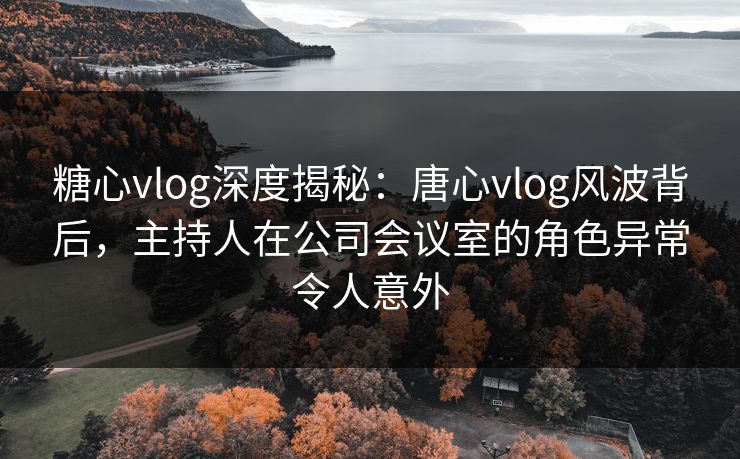 糖心vlog深度揭秘：唐心vlog风波背后，主持人在公司会议室的角色异常令人意外