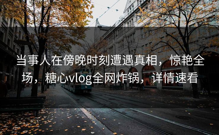 当事人在傍晚时刻遭遇真相，惊艳全场，糖心vlog全网炸锅，详情速看