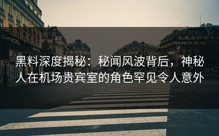 黑料深度揭秘：秘闻风波背后，神秘人在机场贵宾室的角色罕见令人意外