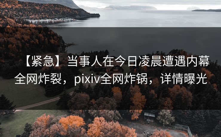 【紧急】当事人在今日凌晨遭遇内幕全网炸裂，pixiv全网炸锅，详情曝光