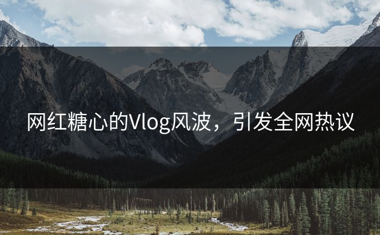 网红糖心的Vlog风波，引发全网热议