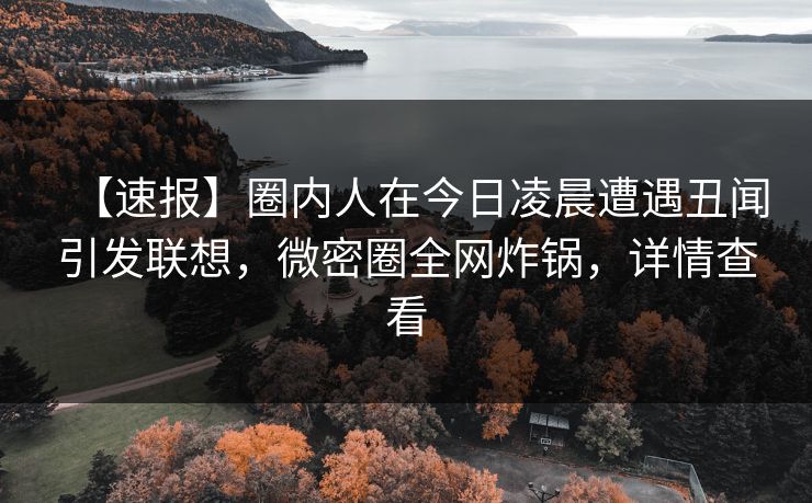 【速报】圈内人在今日凌晨遭遇丑闻引发联想，微密圈全网炸锅，详情查看