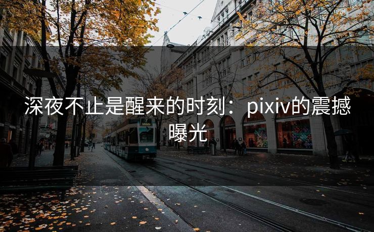 深夜不止是醒来的时刻：pixiv的震撼曝光